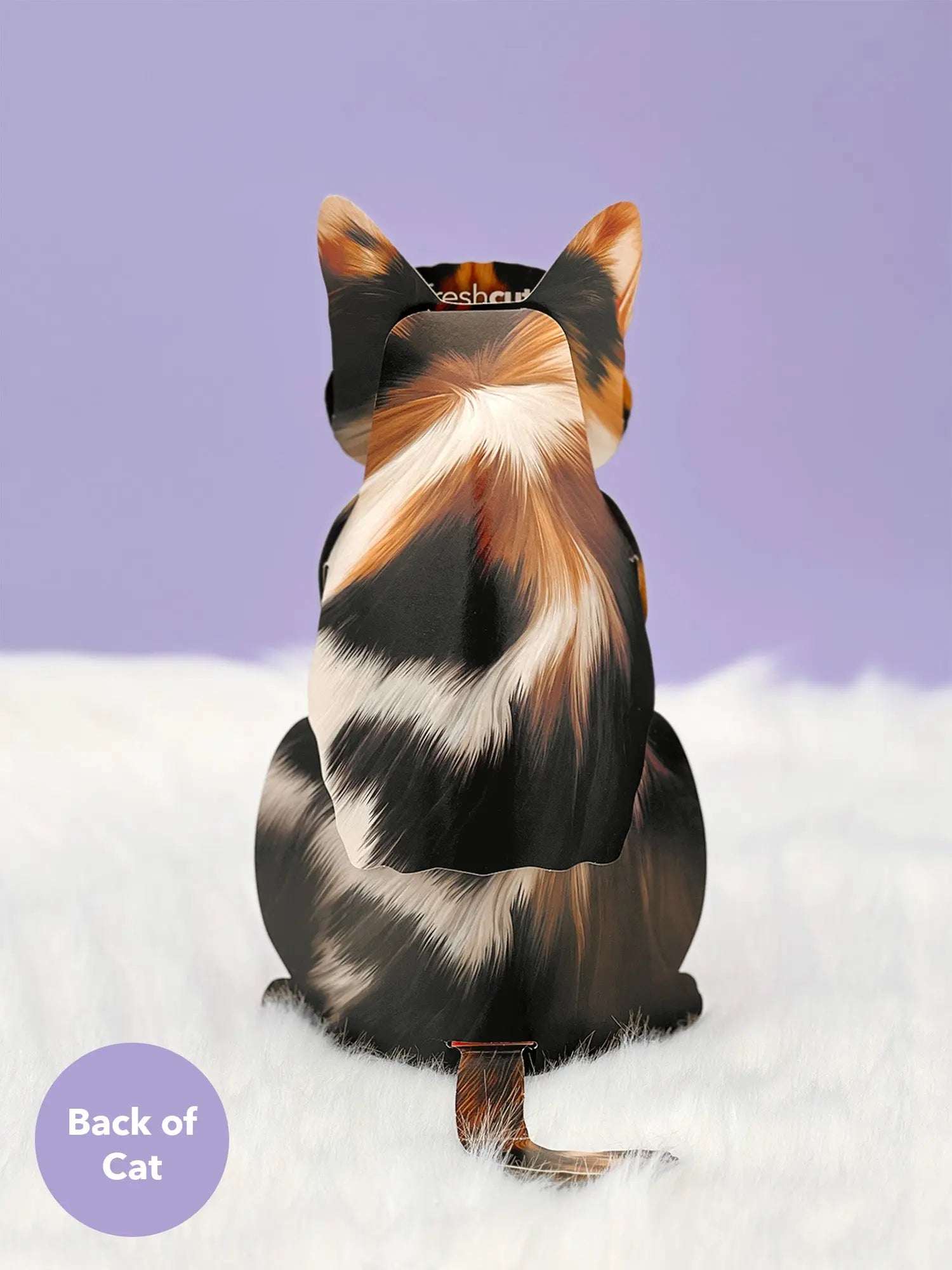 Back of Calico Pop-Up Cat