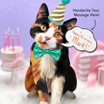 Calico Pop-Up Cat with birthday accessories