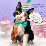 Calico Pop-Up Cat with birthday accessories