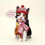 Holiday Cat Bundle FreshCut Paper