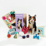 Calico Pop-Up Cat with accessories and notecard