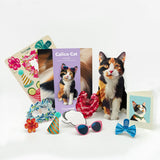 Calico Pop-Up Cat with accessories and notecard
