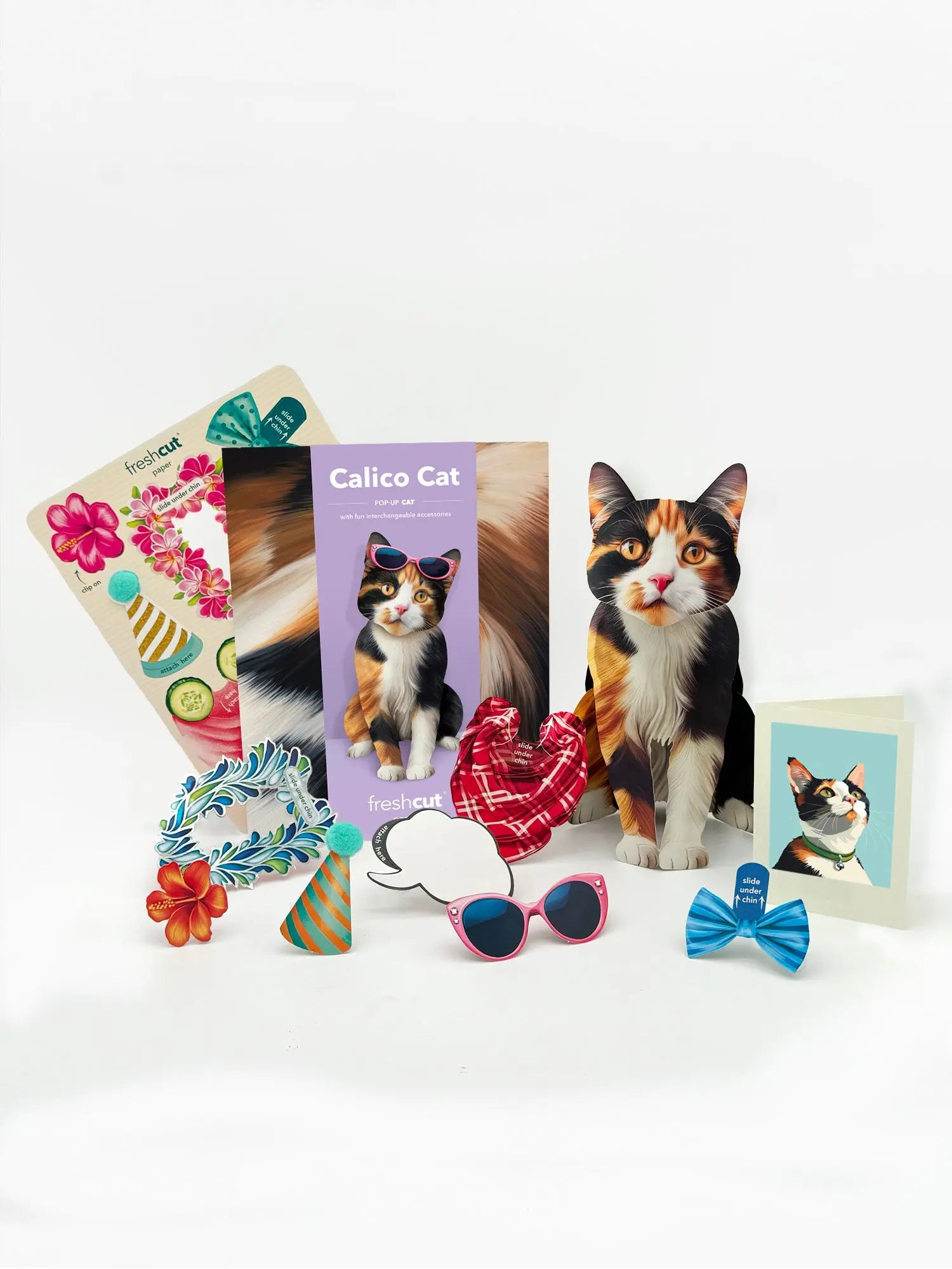 Calico Pop-Up Cat with accessories and notecard