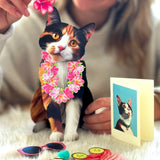 Calico Pop-Up Cat with accessories