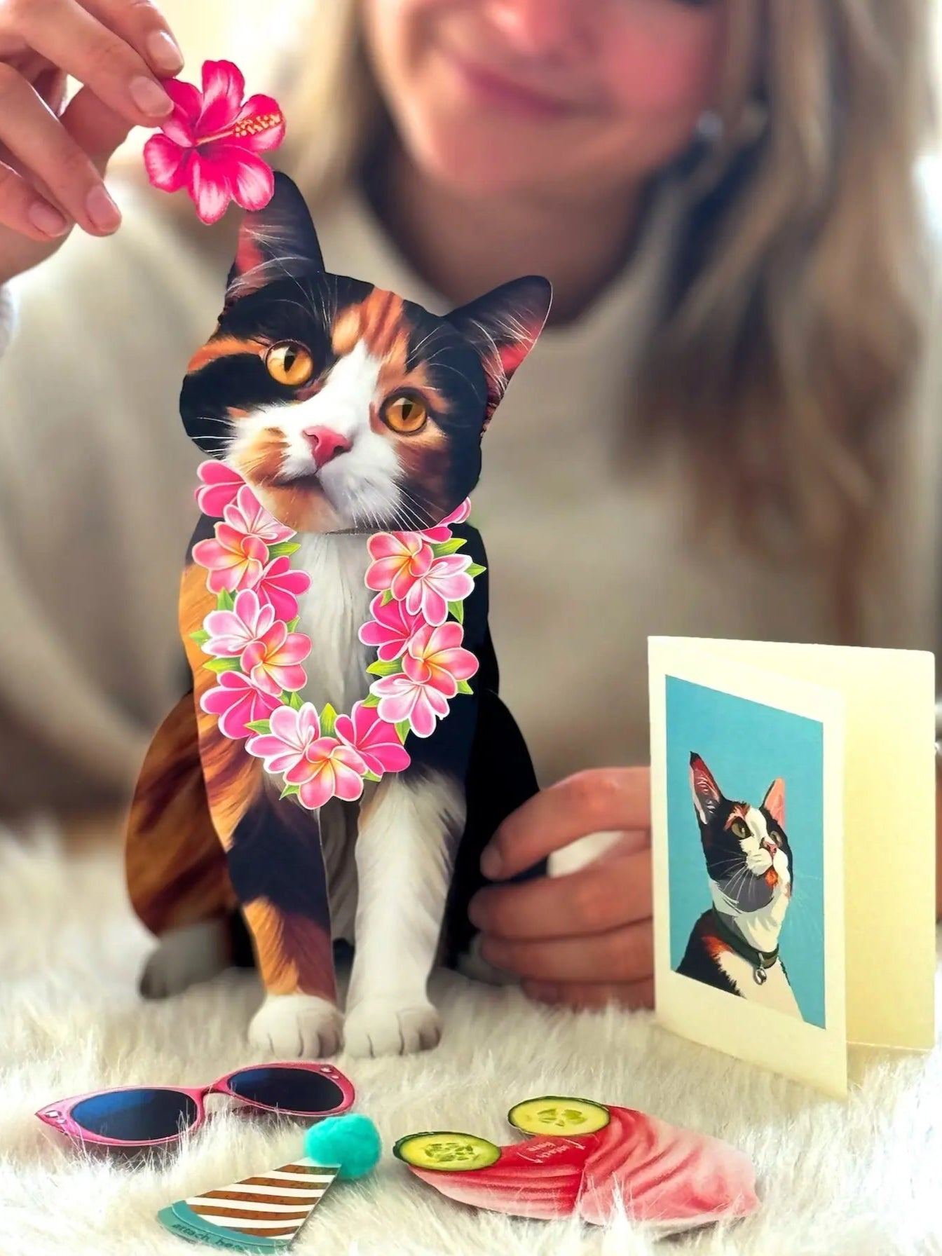 Calico Pop-Up Cat with accessories