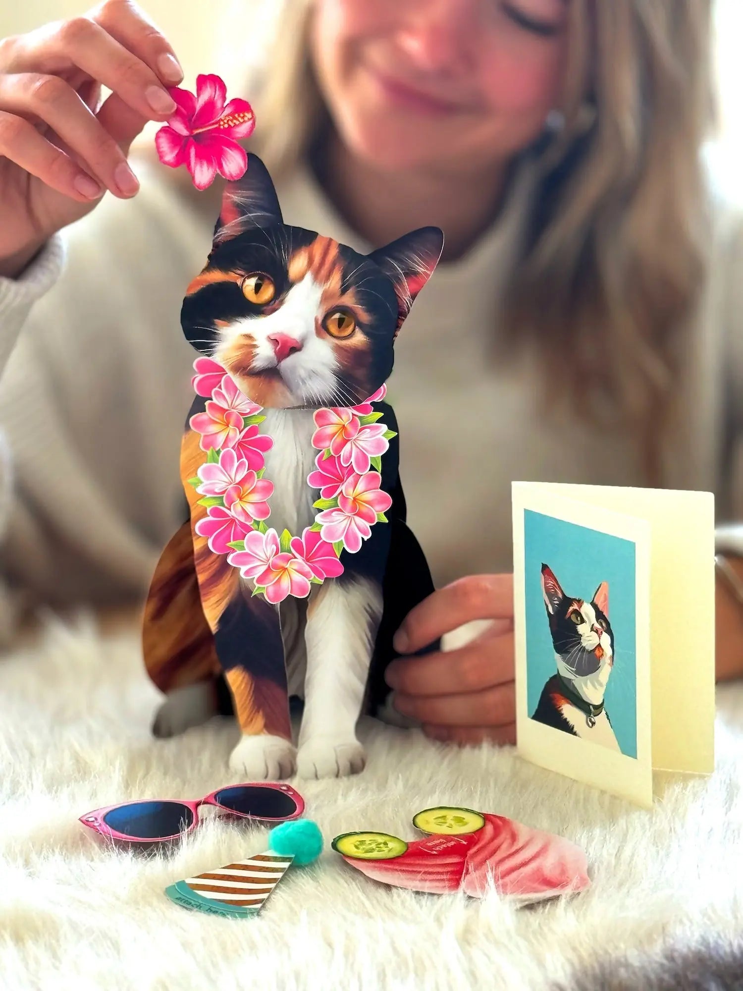 Calico Pop-Up Cat with accessories