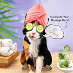 Calico Pop-Up Cat with spa accessories