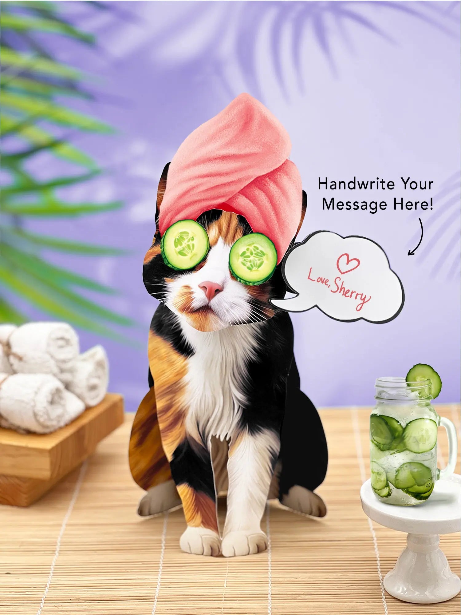 Calico Pop-Up Cat with spa accessories