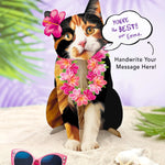 Calico Pop-Up Cat with vacation accessories