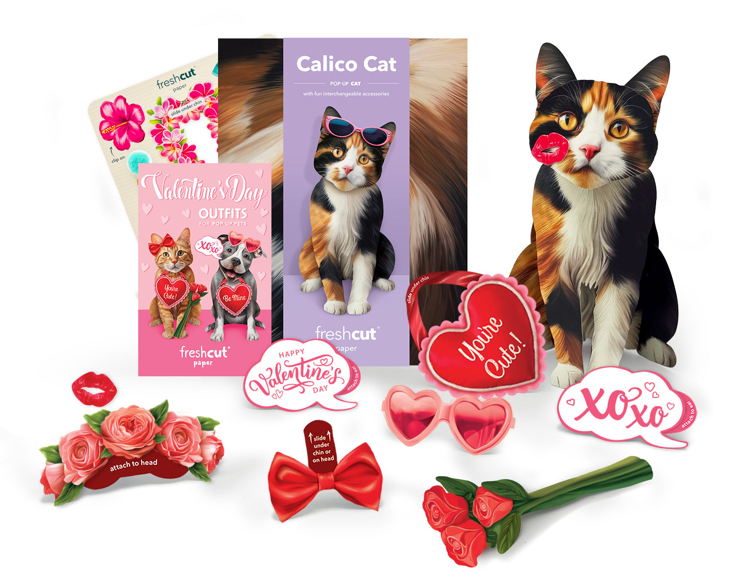 Valentine's Day Calico Cat Pop-Up Card