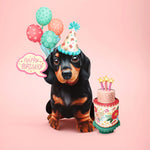 Birthday Dachshund Pop-Up Card FreshCut Paper