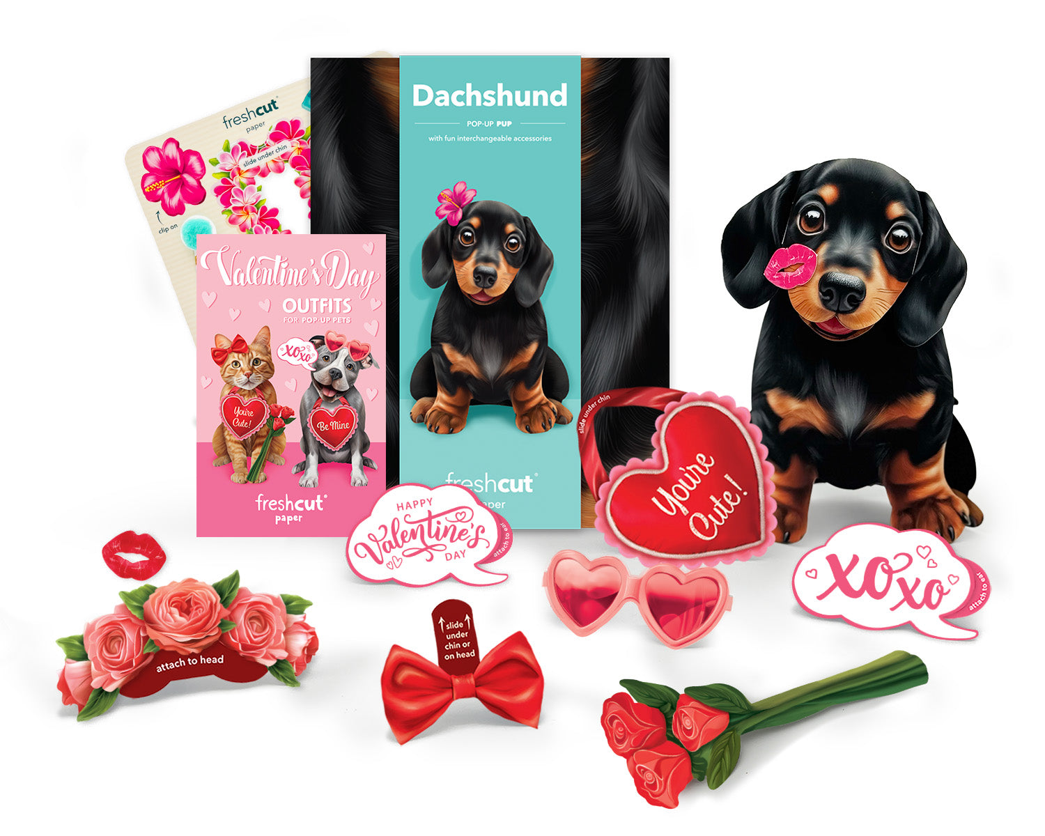 Valentine's Day Dachshund Pop-Up Card