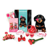 Valentine's Day Dachshund Pop-Up Card