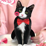 Valentine's Day Tuxedo Cat Pop-Up Card