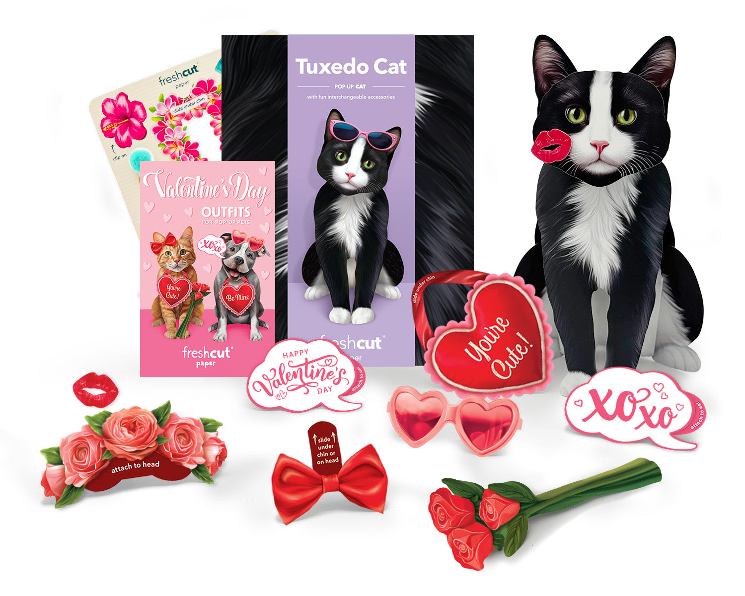 Valentine's Day Tuxedo Cat Pop-Up Card