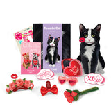 Valentine's Day Tuxedo Cat Pop-Up Card