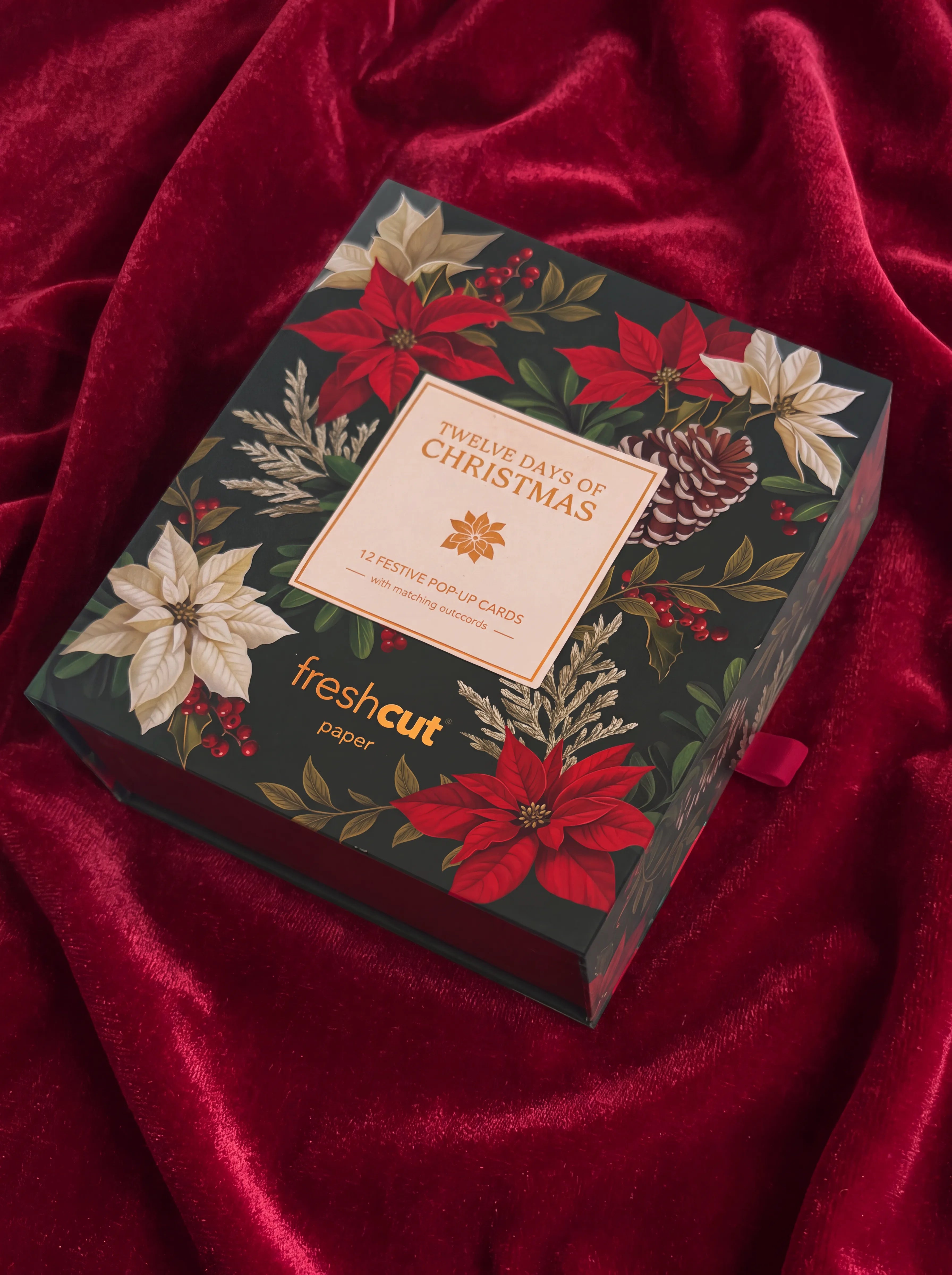 12 Days of Christmas Box