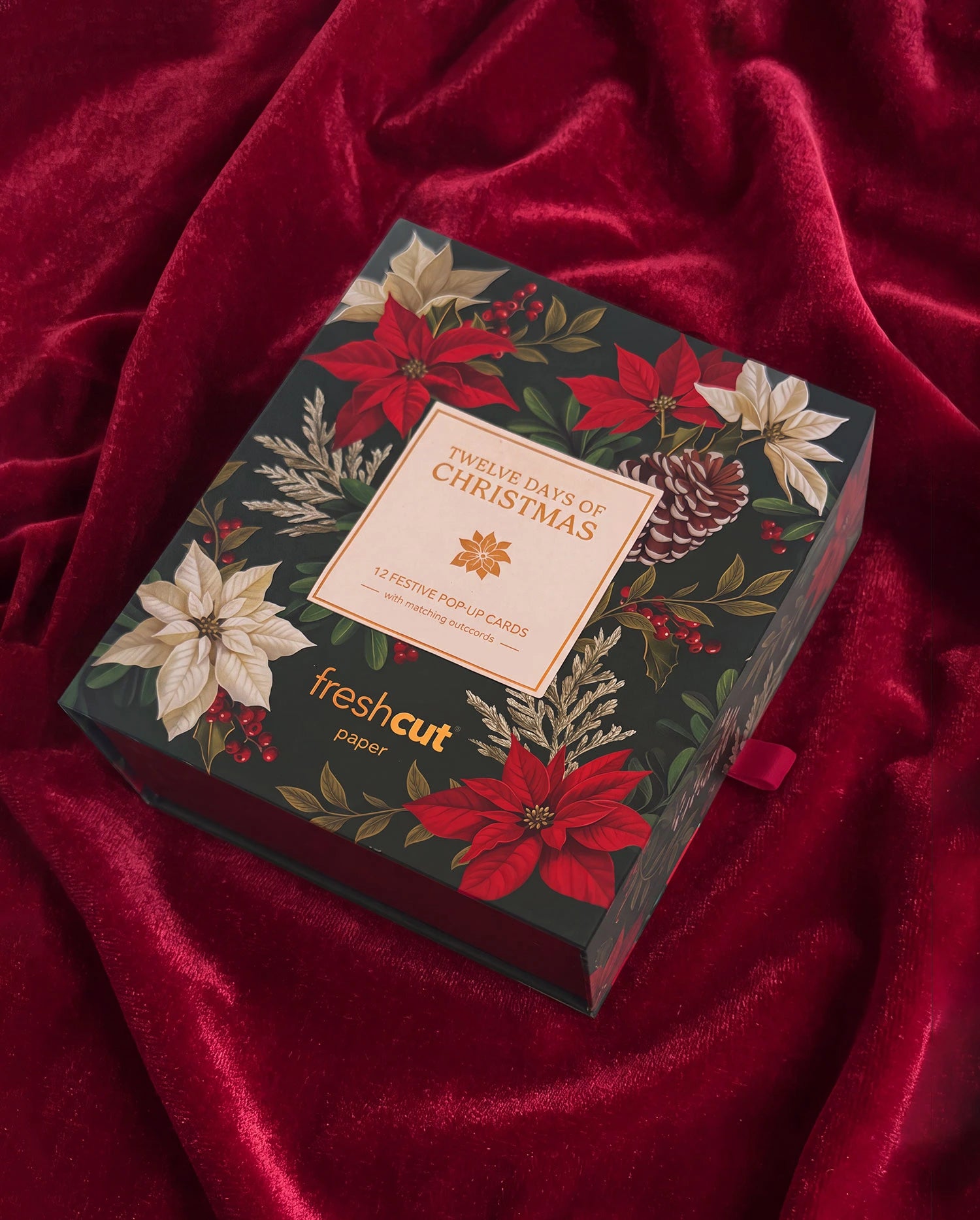 12 Days of Christmas Box