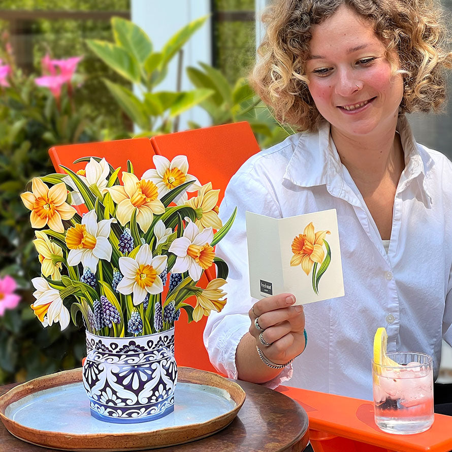 English Daffodils