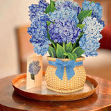 Nantucket Hydrangeas