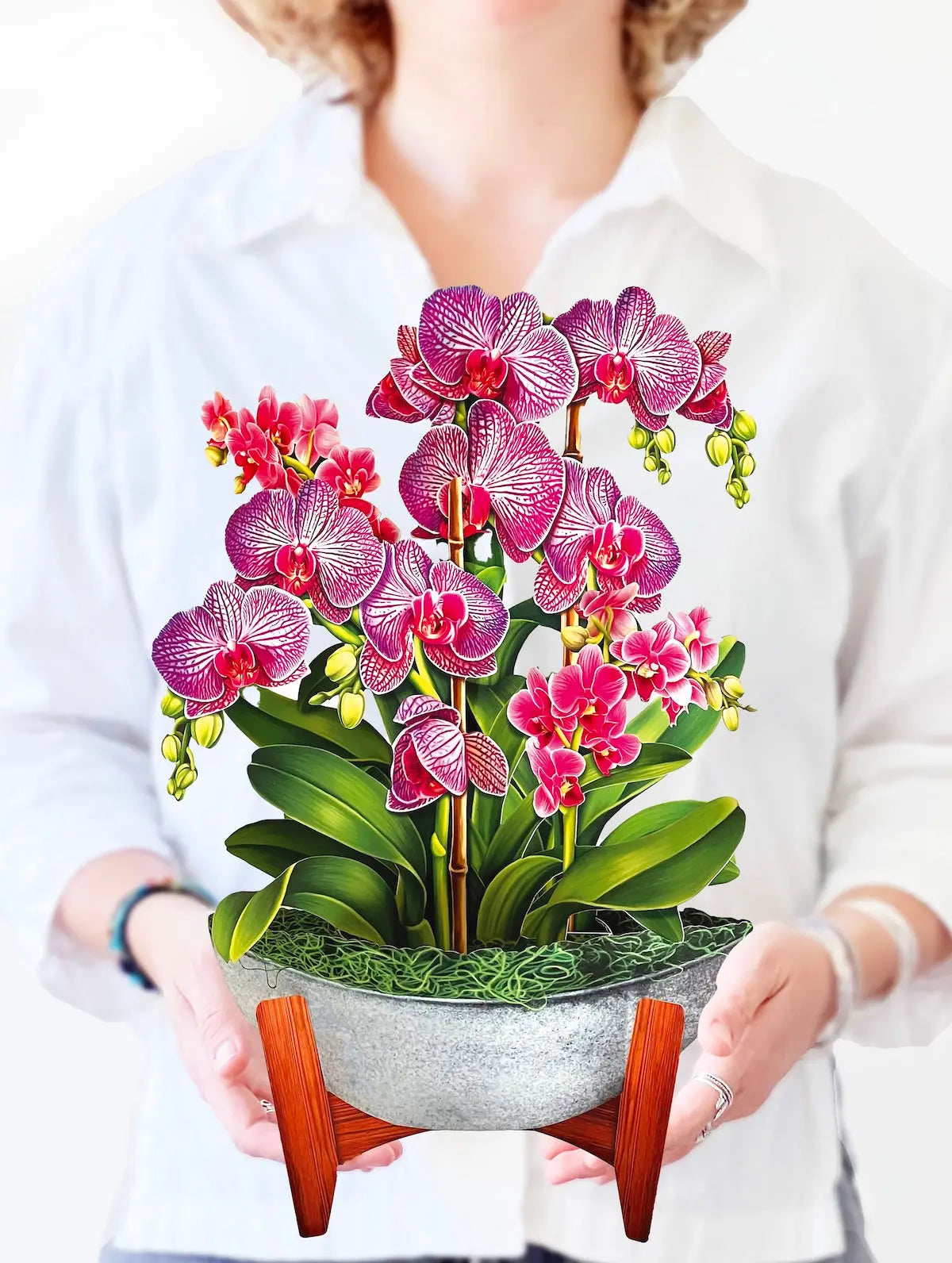 Orchid Oasis - FreshCut Paper
