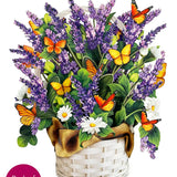 Lavender & Butterflies