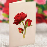 Blooming Roses