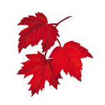 Red Maple Tree Card - FreshCut Paper