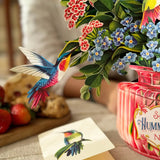 Hummingbird Oasis