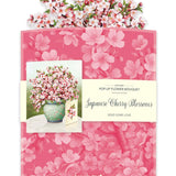 Japanese Cherry Blossoms