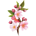 Japanese Cherry Blossoms Card - FreshCut Paper