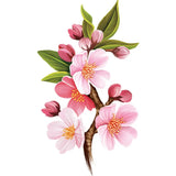 Japanese Cherry Blossoms Card - FreshCut Paper