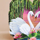 Sweetheart Swans