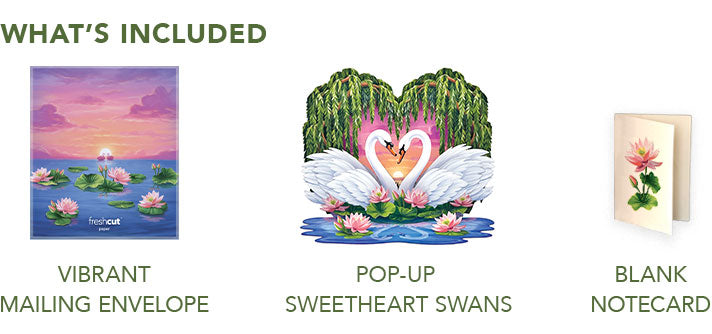 Sweetheart Swans