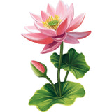 Sweetheart Swans Card