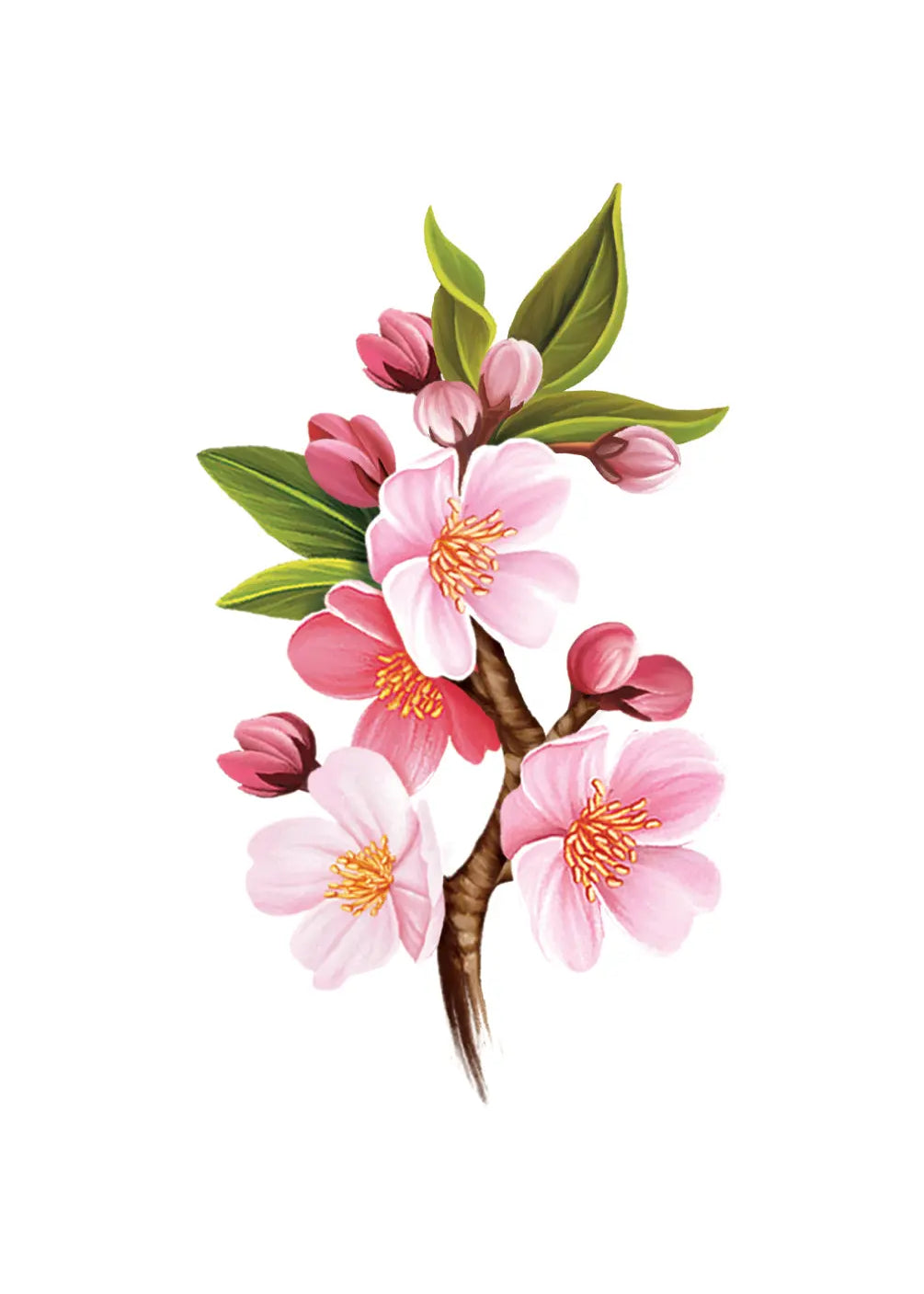 Grande Japanese Cherry Blossoms Card - FreshCut Paper