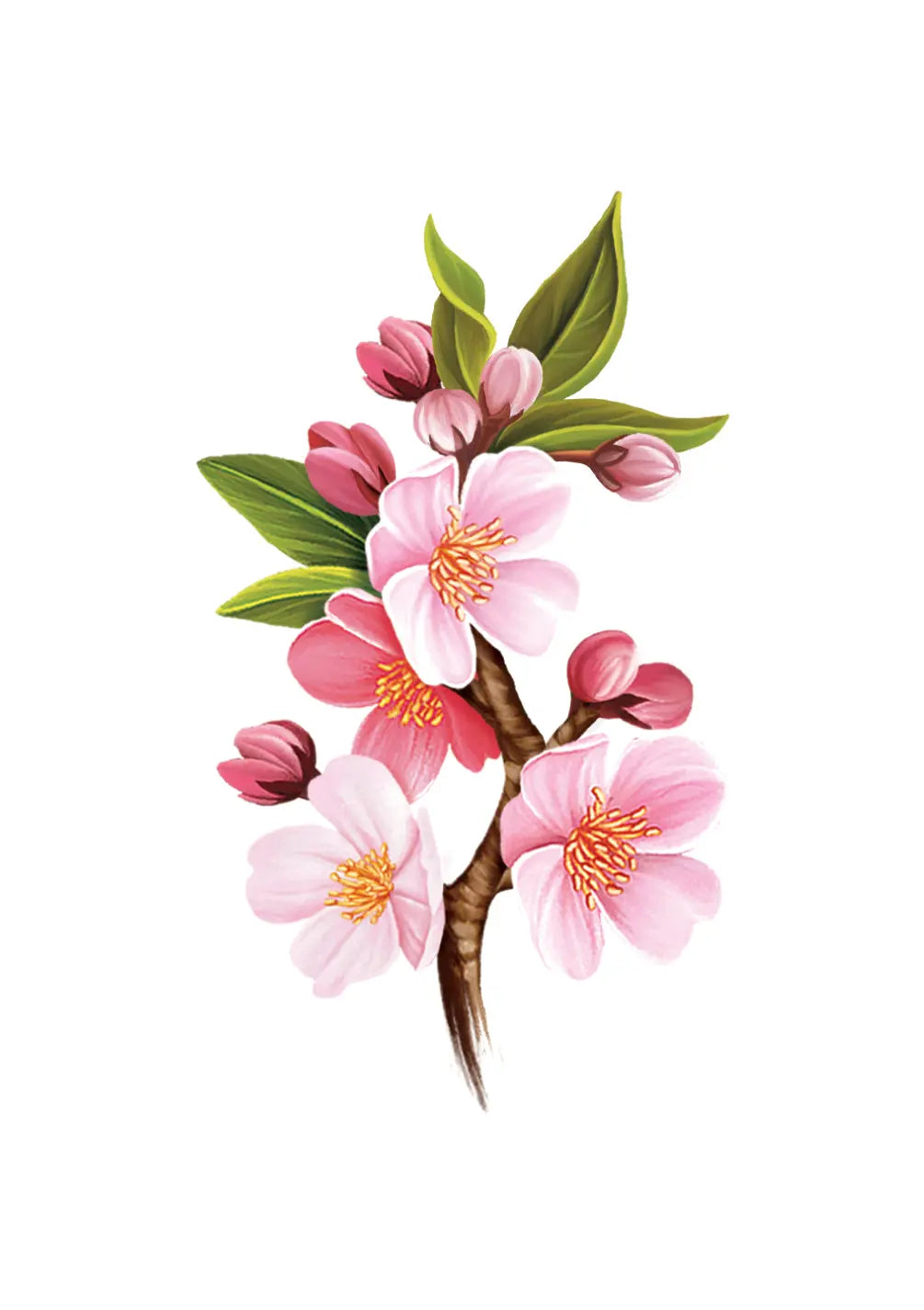 Grande Japanese Cherry Blossoms Card - FreshCut Paper