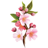 Grande Japanese Cherry Blossoms Card - FreshCut Paper