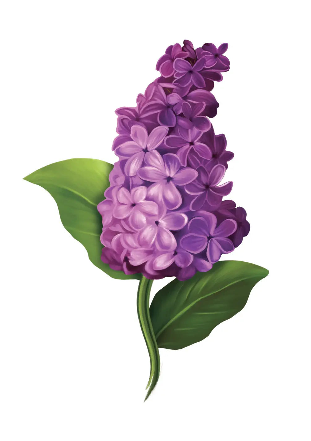 Grande Garden Lilacs Card - FreshCut Paper