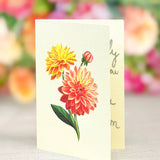 Grande Dahlia Sunrise