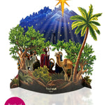 Nativity Scene with Starlight 