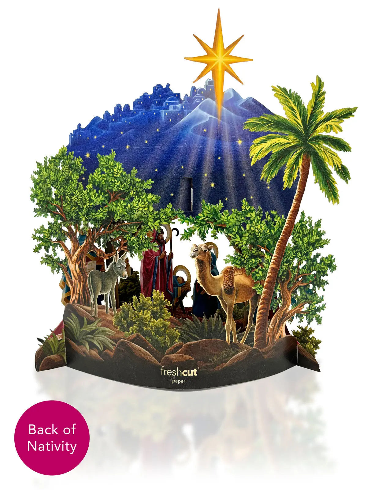 Nativity Scene with Starlight 