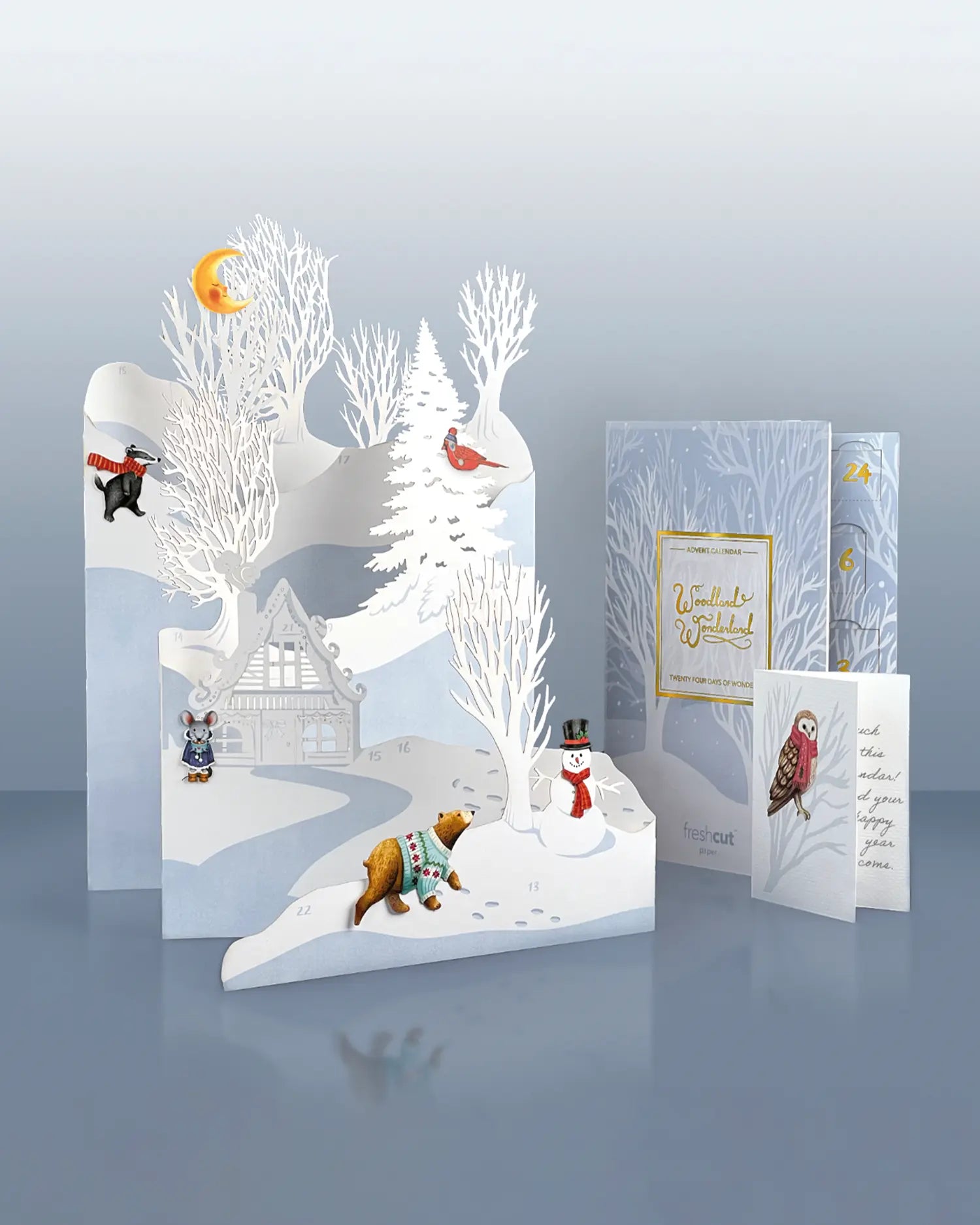 Woodland Wonderland Advent Calendar with winter animals