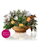 Winter Magnolia with Pine Cones