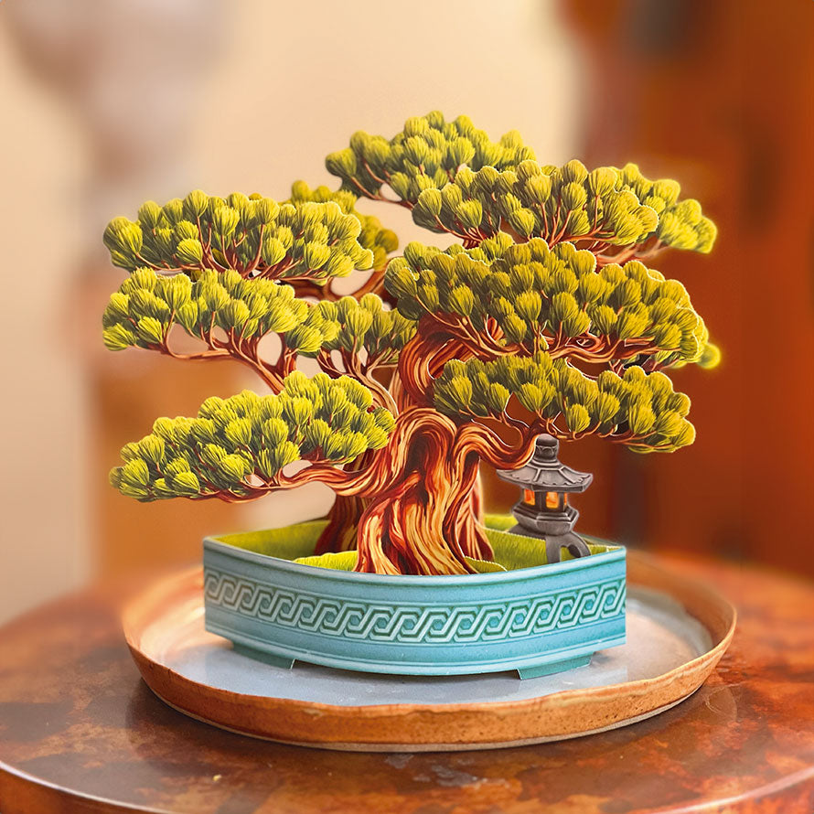 Wisdom Bonsai