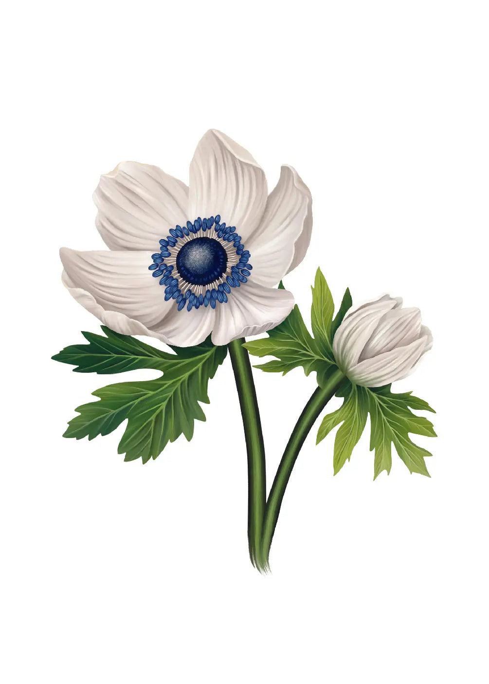 Blue Poinsettia Card - FreshCut Paper