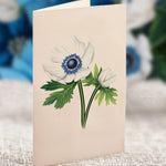 Blue Poinsettia Notecard