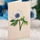 Blue Poinsettia Notecard