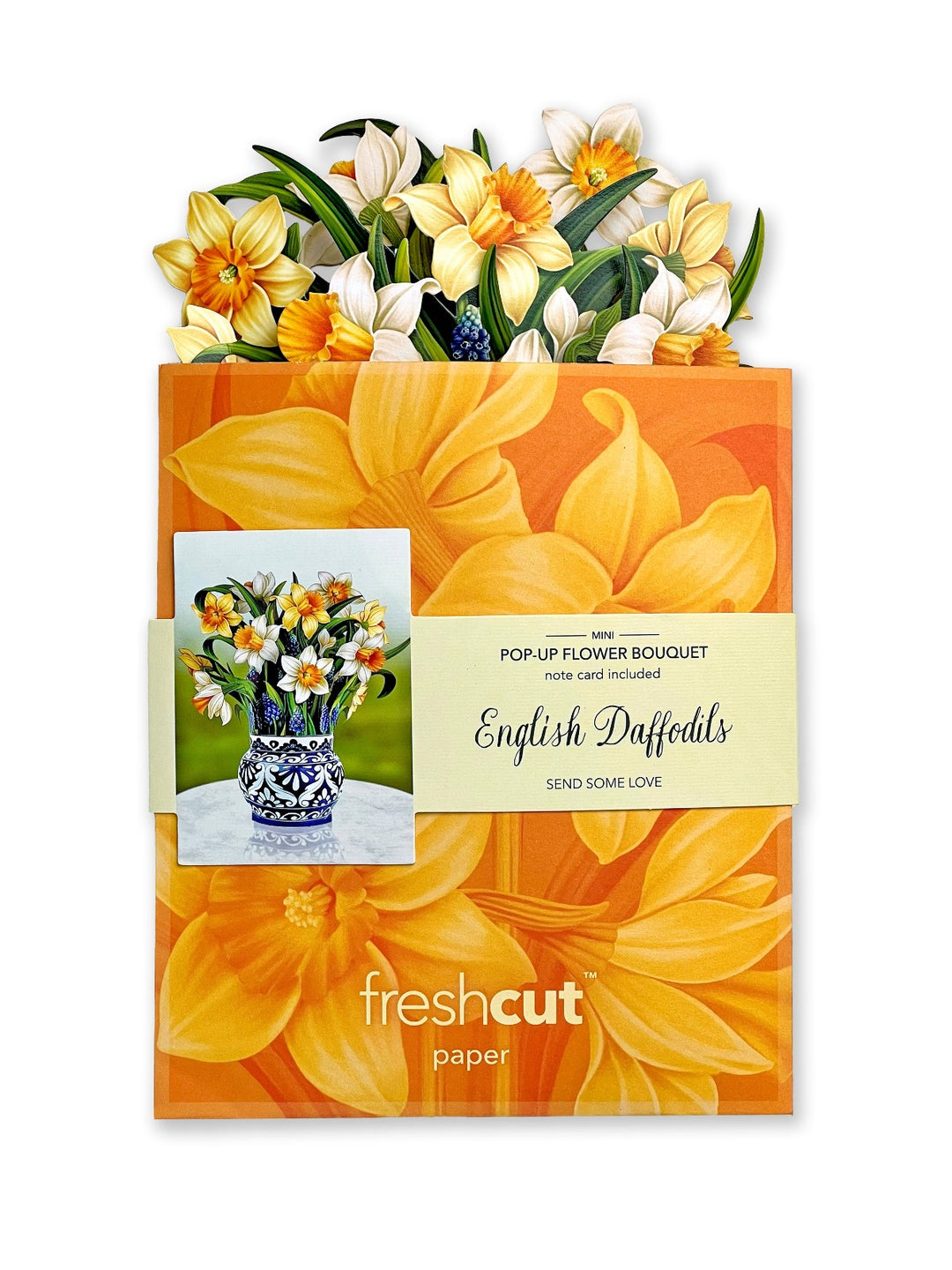Mini English Daffodil