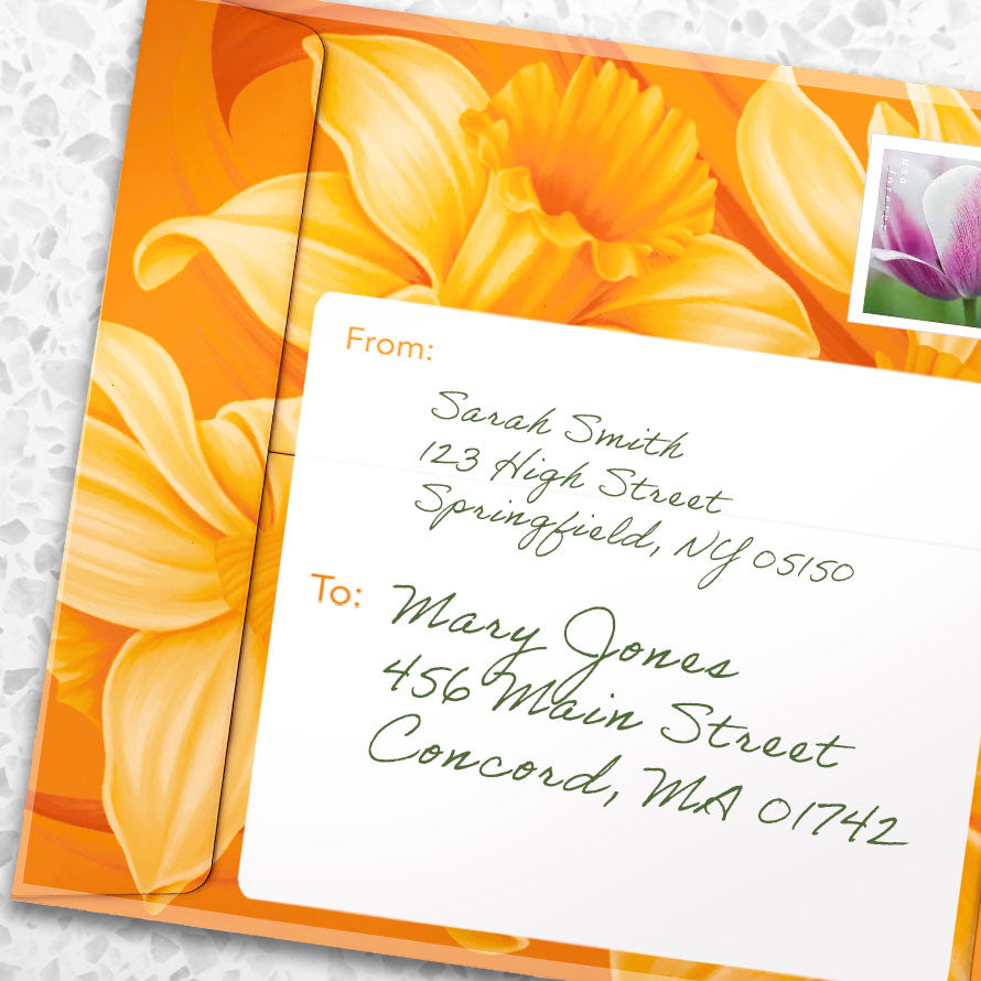 A vibrant mailing envelope with a daffodil drawing